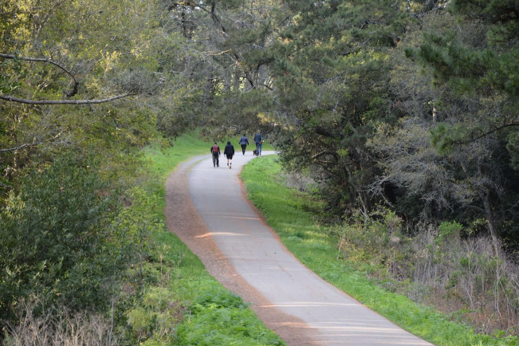 East Bay recreation offers pastimes present aplenty